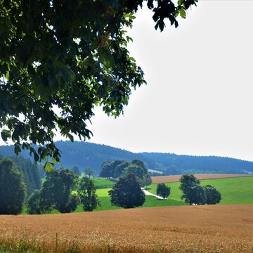 2019.7.26 Summercamp Daňkovice